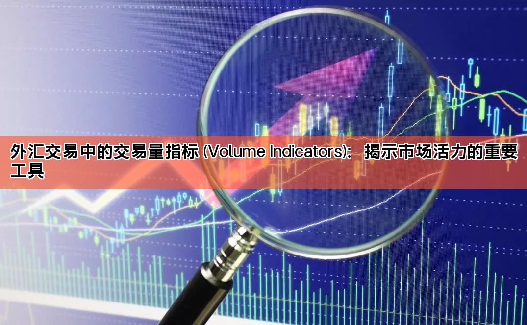 外汇交易中的交易量指标 (Volume Indicators)：揭示市场活力的重要工具