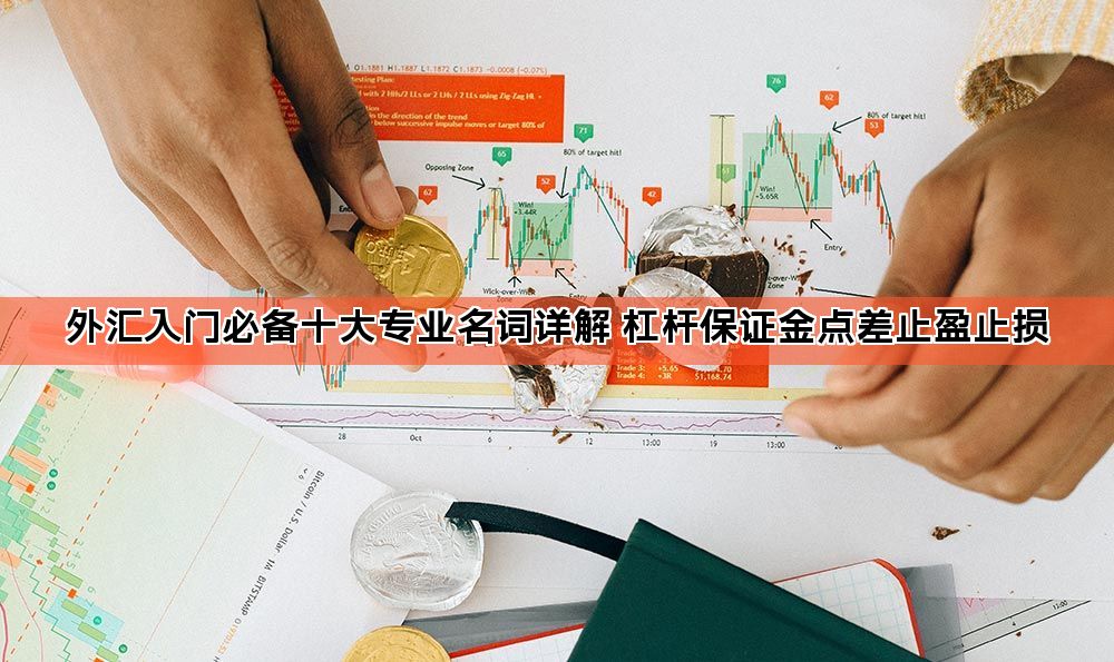 外汇入门必备十大专业名词详解 杠杆保证金点差止盈止损