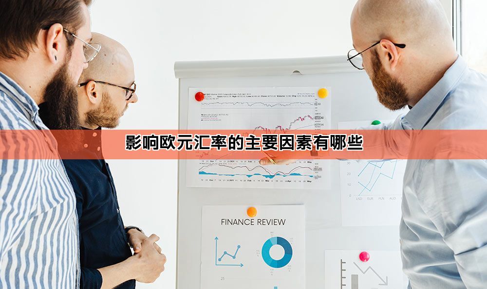 影响欧元汇率的主要因素有哪些