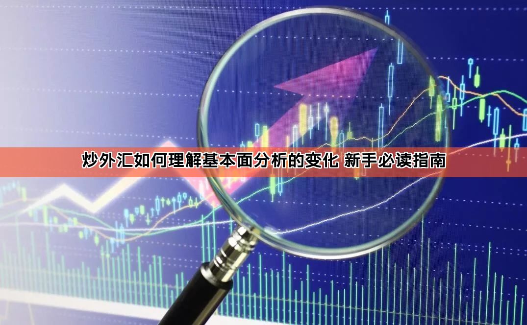炒外汇如何理解基本面分析的变化 新手必读指南