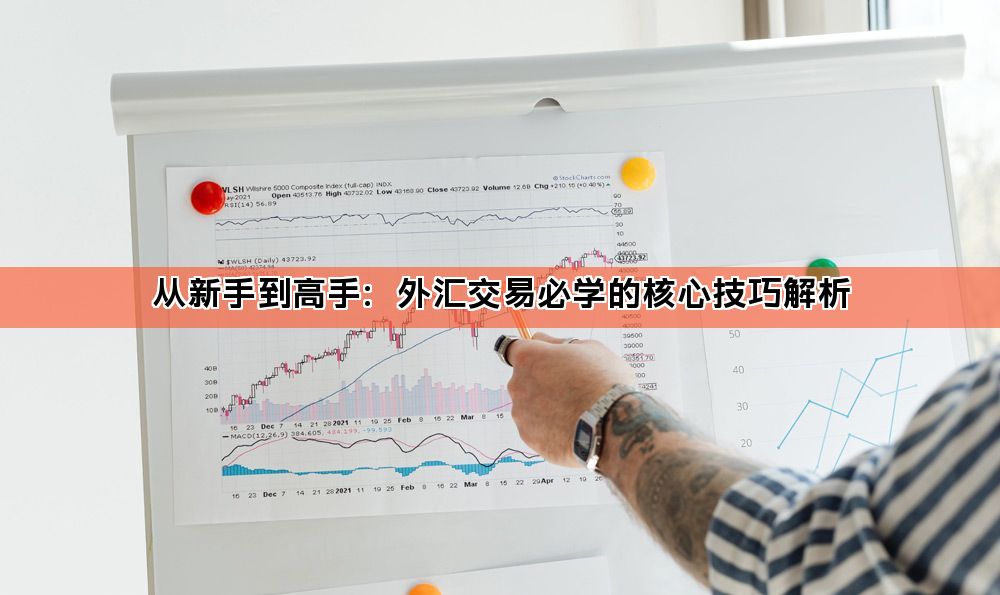 从新手到高手：外汇交易必学的核心技巧解析