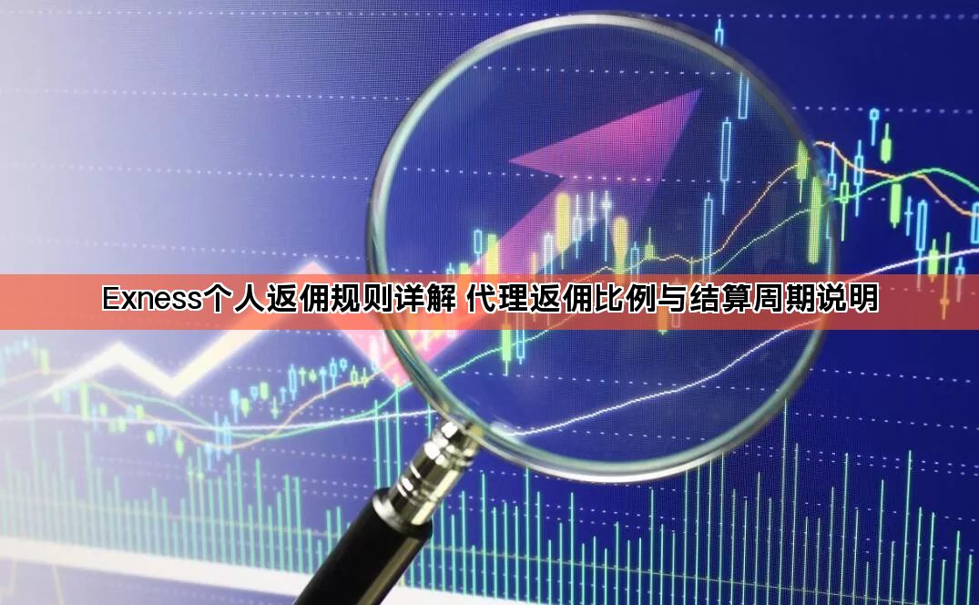 Exness个人返佣规则详解 代理返佣比例与结算周期说明