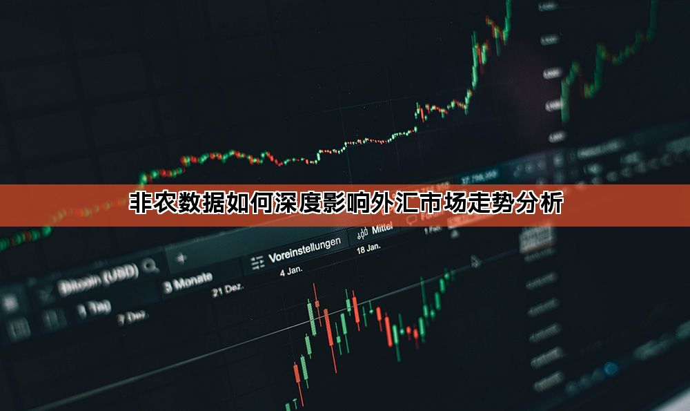 非农数据如何深度影响外汇市场走势分析