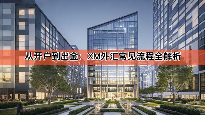 从开户到出金：XM外汇常见流程全解析
