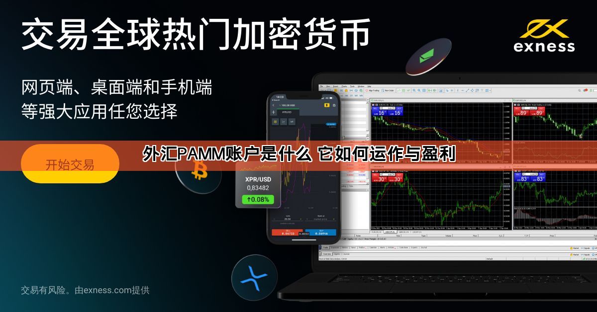 外汇PAMM账户是什么 它如何运作与盈利