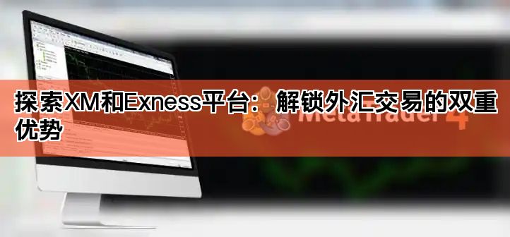 探索XM和Exness平台：解锁外汇交易的双重优势