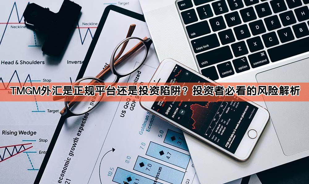 TMGM外汇是正规平台还是投资陷阱?投资者必看的风险解析