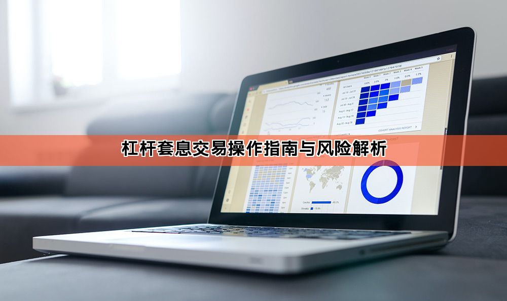 杠杆套息交易操作指南与风险解析